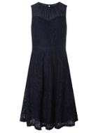 Dorothy Perkins Navy Mesh Lace Fit And Flare Dress