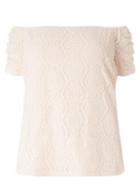 Dorothy Perkins *dp Curve Blush Lace Bardot Top