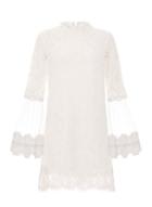 Dorothy Perkins *quiz Cream Lace Floral Shift Dress