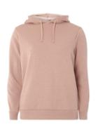 Dorothy Perkins Dusky Rose Plain Hoodie