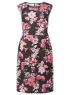 Dorothy Perkins *dp Curve Pink Floral Print Fit And Flare Dress