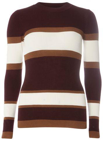 Dorothy Perkins Aubergine Stripe Crew Neck Jumper
