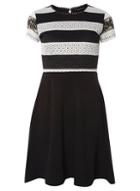 Dorothy Perkins *tall Black Striped Lace Dress