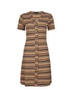 Dorothy Perkins Multi Colour Striped Shirt Dress