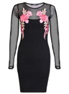 Dorothy Perkins *quiz Black Mesh Sleeve Embroidered Dress