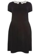 Dorothy Perkins Dp Curve Black Lace Fit And Flare Dress