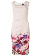 Dorothy Perkins *scarlett B Blush Boarder 'lara' Bodycon Dress
