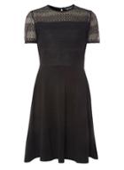 Dorothy Perkins *tall Black Stripe Lace Dress