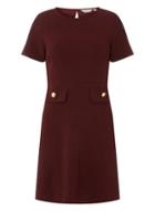 Dorothy Perkins Petite Wine Fit And Flare Dress