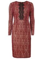 Dorothy Perkins Red Lace Pencil Dress
