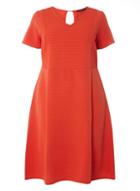 Dorothy Perkins Dp Curve Red Ribbed Fit And Flare Dress
