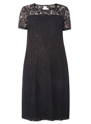 Dorothy Perkins Dp Curve Black Lace Pencil Dress