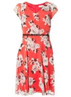 Dorothy Perkins *billie & Blossom Red Monochrome Floral Dress