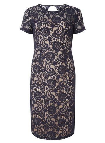 Dorothy Perkins Navy And Nude Lace Dress