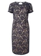 Dorothy Perkins Navy And Nude Lace Dress