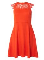 Dorothy Perkins Red Lace Fit & Flare Dress