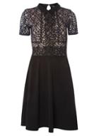 Dorothy Perkins *tall Navy And Black Lace Dress