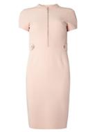 Dorothy Perkins Petite Blush Zip Pencil Dress