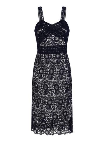 *paper Dolls Navy Contrast Lace Bodycon Dress