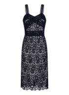 *paper Dolls Navy Contrast Lace Bodycon Dress