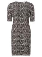 Dorothy Perkins *lily & Franc Monochrome Textured Shift Dress
