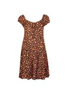 Dorothy Perkins Petite Multi Coloured Cheetah Print Dress