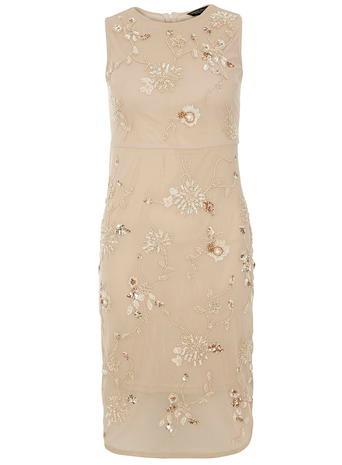 Dorothy Perkins Champagne Pencil Dress