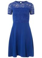 Dorothy Perkins Cobalt Lace Top Fit And Flare Dress