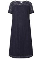 Dorothy Perkins *dp Curve Navy Lace Pencil Dress