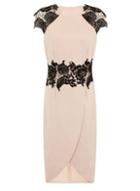 Dorothy Perkins *little Mistress Nude And Black Lace Midi Dress
