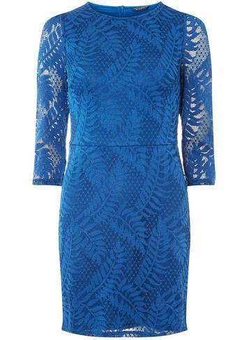 Dorothy Perkins Teal Blue Leafy Lace Bodycon Dress