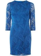 Dorothy Perkins Teal Blue Leafy Lace Bodycon Dress