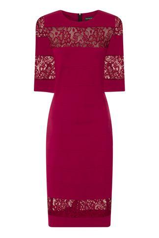 Dorothy Perkins *paper Dolls Berry Lace Insert Bodycon Dress
