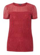 Dorothy Perkins *tall Berry Lace Panel Top