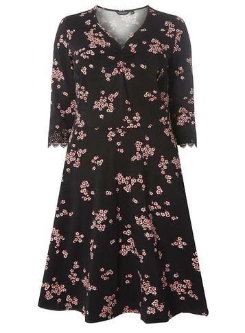 Dorothy Perkins Dp Curve Mulit Coloured Floral Lace Fit And Flare Dress