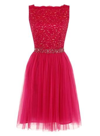 Dorothy Perkins *little Mistress Curve Pink Fit And Flare Dress