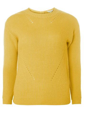 Dorothy Perkins Petite Ochre High Neck Jumper