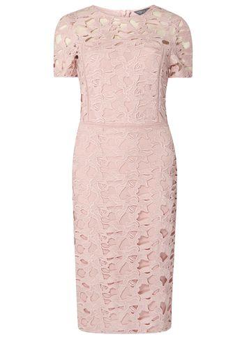 Dorothy Perkins *tall Pink Lace Pencil Dress