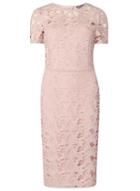 Dorothy Perkins *tall Pink Lace Pencil Dress