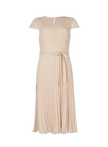 Dorothy Perkins Nude Lace Pleated Midi Dress