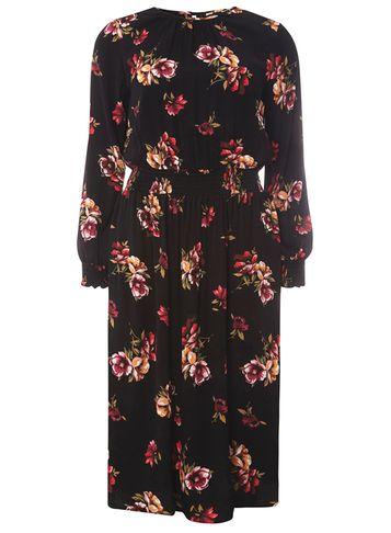 Dorothy Perkins Black Chestnut Floral Print Midi Skater Dress