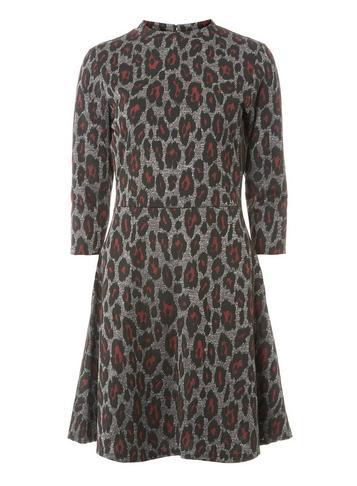 Dorothy Perkins Grey And Berry Animal Print Jacquard Fit And Flare Dress