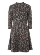 Dorothy Perkins Grey And Berry Animal Print Jacquard Fit And Flare Dress