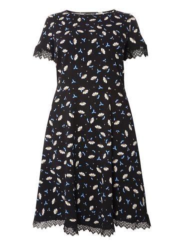Dorothy Perkins Dp Curve Black Floral Lace Trim Skater Dress