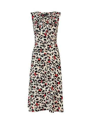 Dorothy Perkins Multi Colour Leopard Print Ruffle Midi Skater Dress