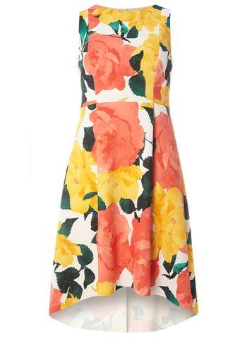 Dorothy Perkins Coral Floral Fit And Flare Dress