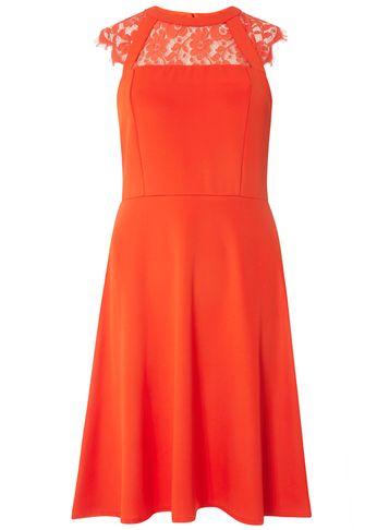 Dorothy Perkins *tall Red Lace Fit & Flare Dress