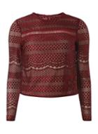 Dorothy Perkins Wine Lace Co-ordinate Top