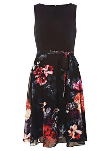 Dorothy Perkins *billie & Blossom Black Printed Skater Dress