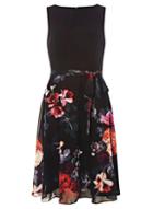 Dorothy Perkins *billie & Blossom Black Printed Skater Dress